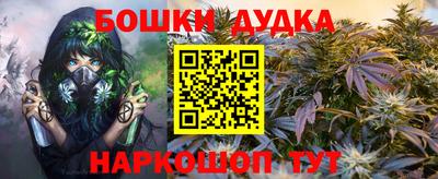 дмт Сланцы