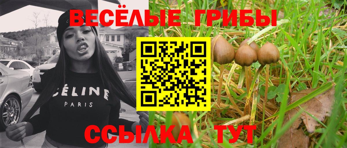 цена   Вход с VPN  Новоалександровск  Псилоцибиновые грибы GOLDEN TEACHER  Галлюциногенные грибы прущие грибы 